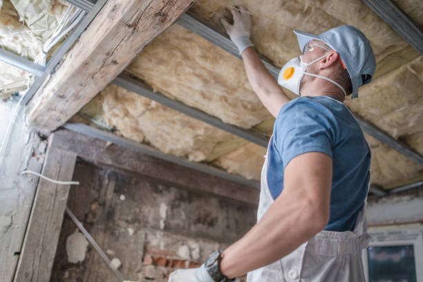 Best Eco-Friendly Insulation in Fairmont City, IL
