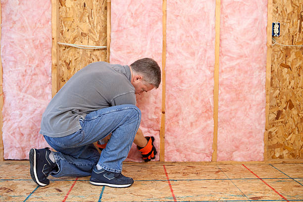 Best Residential Insulation in Fairmont City, IL