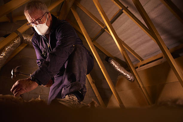 Professional Insulation Contractor in Fairmont City, IL